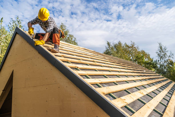Best Storm Damage Roof Repair  in Crawfordville, FL